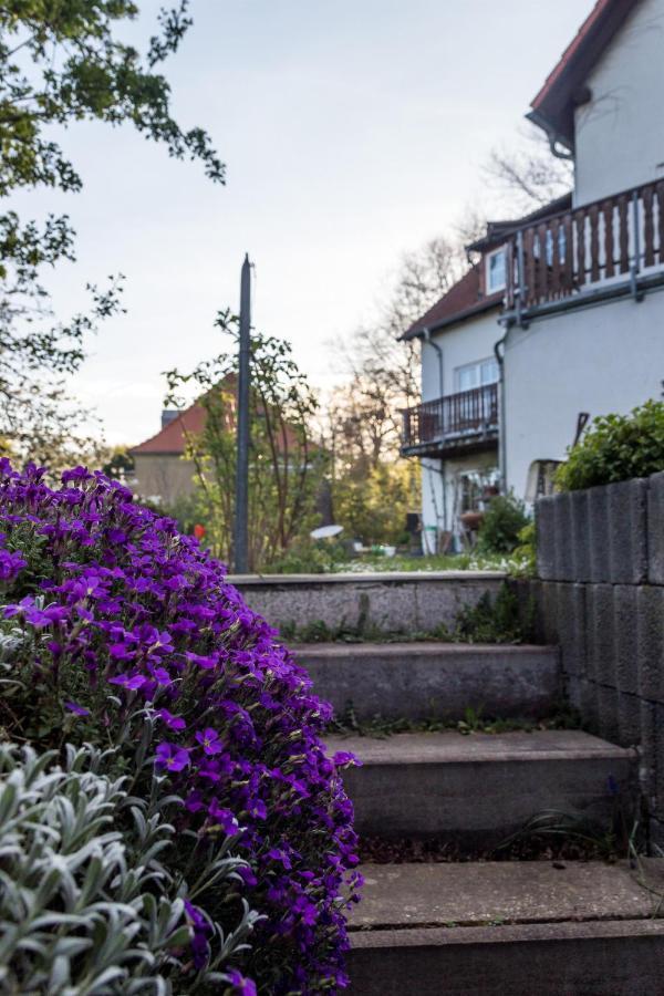 Gaestehaus Bechtloff Meißen Εξωτερικό φωτογραφία